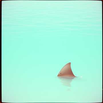 Shark Alert MP3 - - Image 2